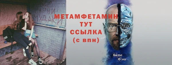 крисы Новодвинск