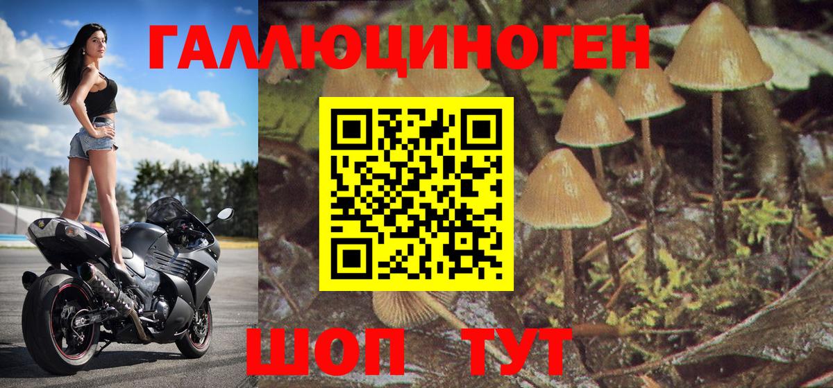 Саратов  Псилоцибиновые грибы мухоморы  Вход с VPN 