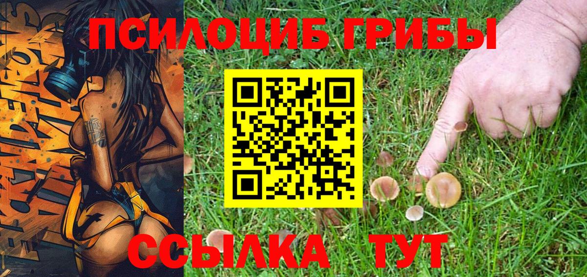 Галлюциногенные грибы Magic Shrooms Саратов